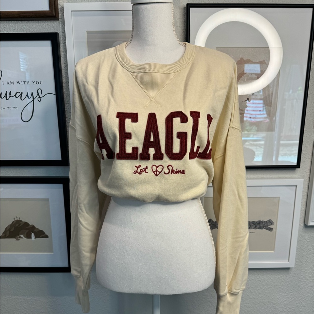 NWT-AE Oversized Vintage Style Crewneck Sweater